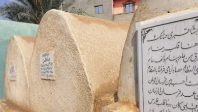 Photo of مقبرة الشاعر نجيب سرور مركز أجا بالدقهلية