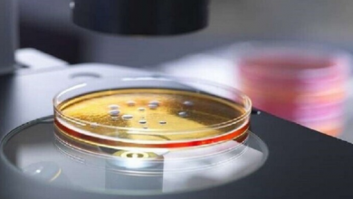 Photo of تطوير إيصال البكتيريا البنتاغون أنه يخطط فقط لاستخدام النظام للأغراض الدفاعية
