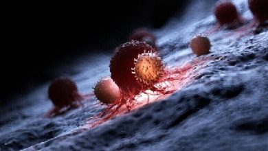 Photo of هل الفيروسات سبب الإصابة بالسرطان؟