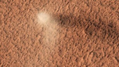 Photo of ناسا ترصد عفريت الغبار يدور حول المريخ